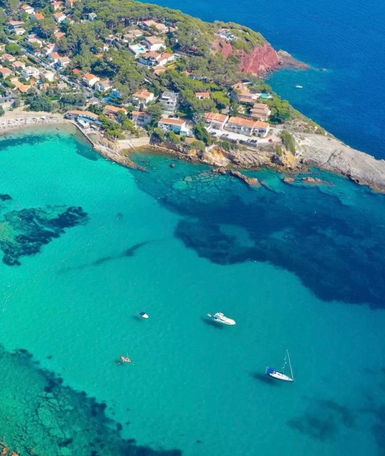 Confortable T2 Vue Mer Avec Terrasse Amenagee Et Parking Prive, Plage Et Port A Pied Sanary-sur-Mer Exteriér fotografie